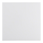 Berker Wippe pws/gl 16208989-1
