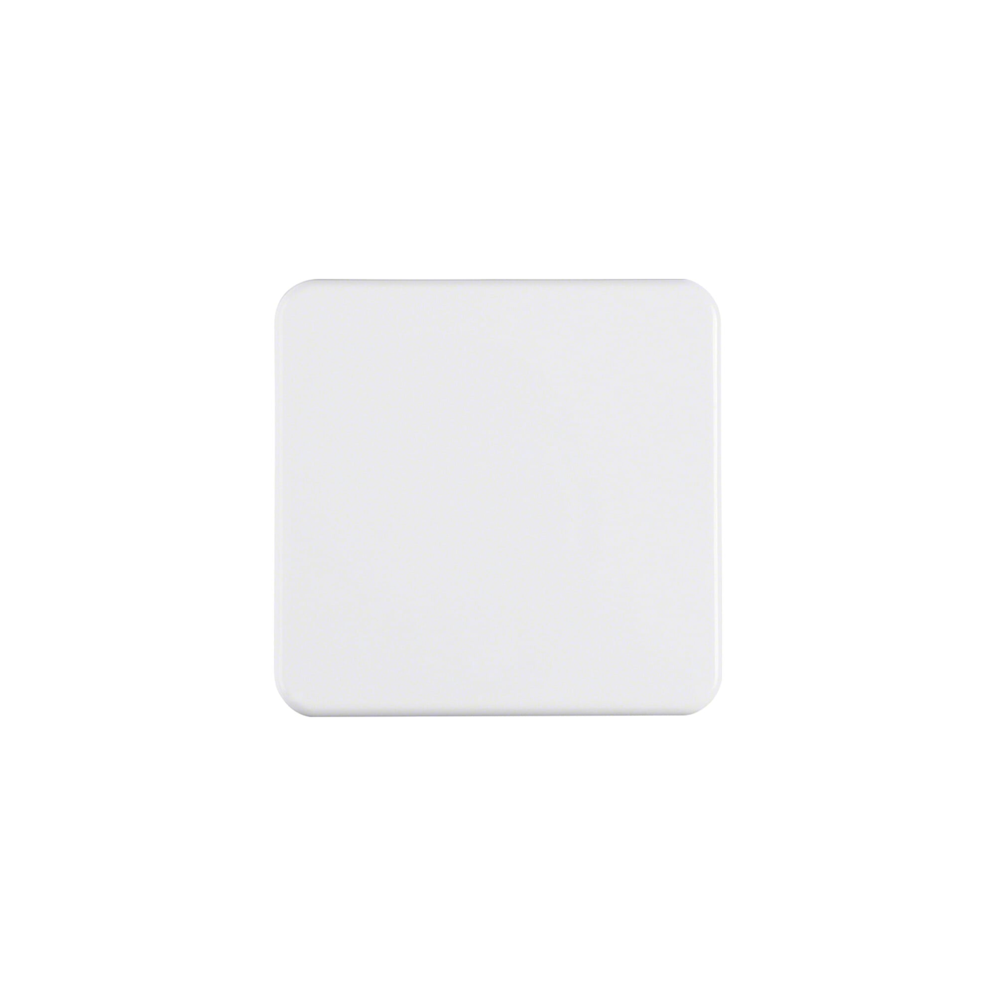 Berker Wippe pws/gl IP44 155009