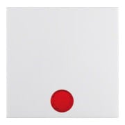 Berker Wippe pws/gl mit 5 Linsen 16218989-1