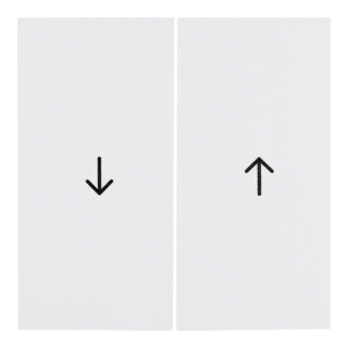 Berker Wippe pws/gl Symbol Pfeil 16258989