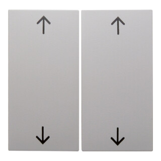 Berker Wippe pws/gl Symbol Pfeil 16448989