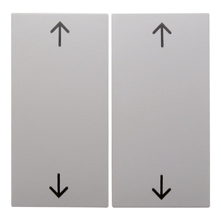 Berker Wippe pws/gl Symbol Pfeil 16448989