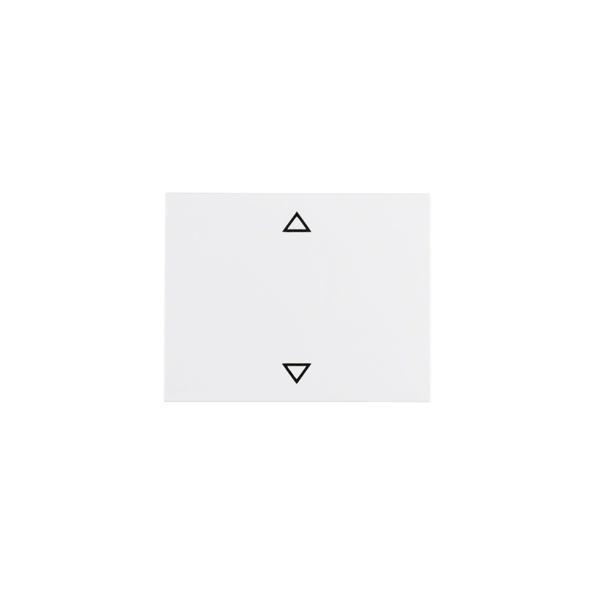 Berker Wippe pws m.Symbol Pfeil 14057109