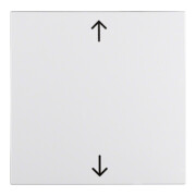 Berker Wippe pws Symbol Pfeil 16201919-1