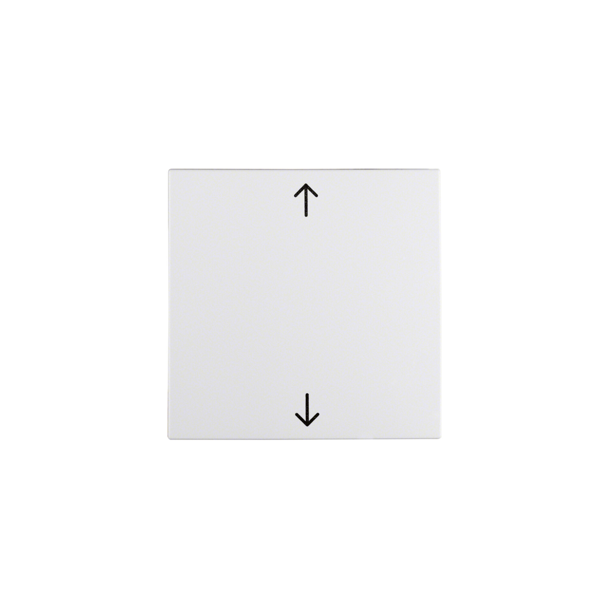 Berker Wippe pws Symbol Pfeil 16201919