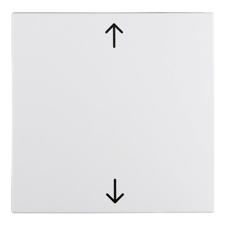 Berker Wippe pws Symbol Pfeil 16201919
