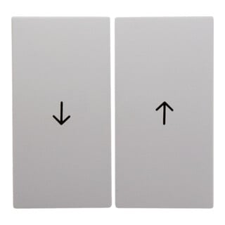 Berker Wippe pws Symbol Pfeil 16251909