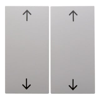 Berker Wippe pws Symbol Pfeil 16441909