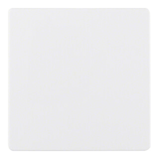 Berker Zentralplatte pws f.Sensoreinsatz 75940409