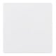 Berker Zentralplatte pws f.Sensoreinsatz 75940409