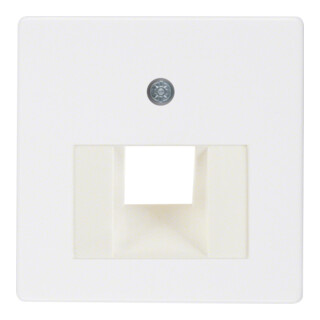 Berker Zentralplatte pws f.UAE-Anschlussdose 146809