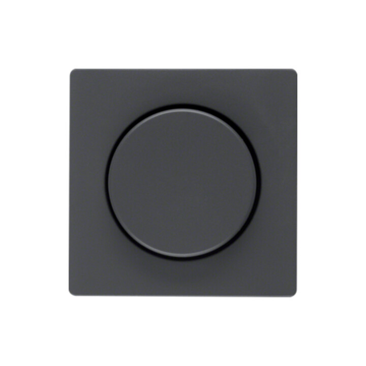 Berker Zentralstück anth/sa f.Drehdimmer 11376086