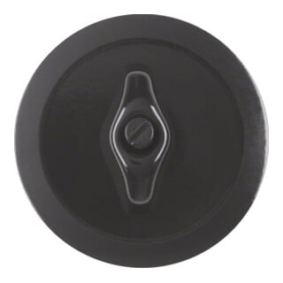 Berker Zentralstück mit Knebel sw/gl 164701