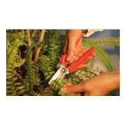 Bessey Combi-Schere gerade D-5