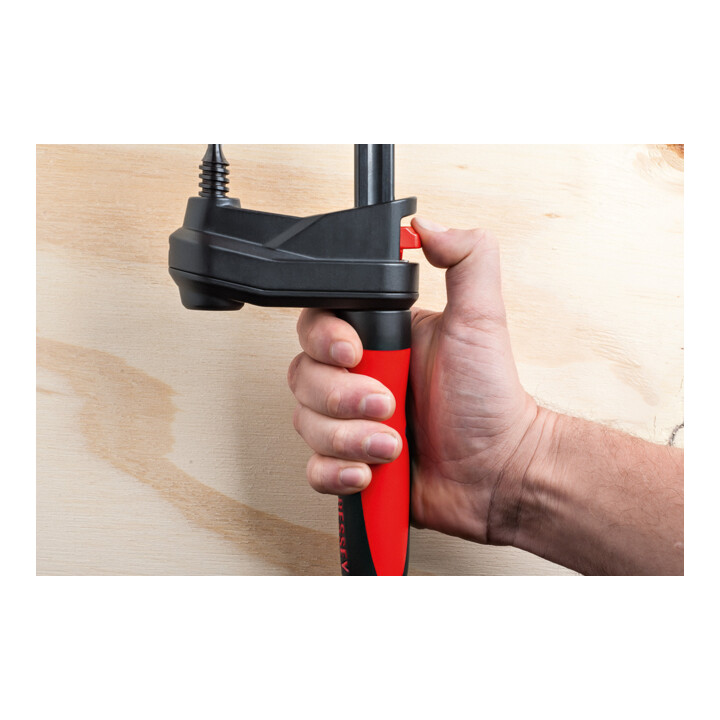 Bessey Getriebezwinge GK30 und Multifunktionswerkzeug DBST, Set