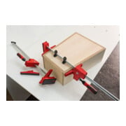 Bessey Korpuszwinge 2St. Nr.KRE30-2K-OH-4