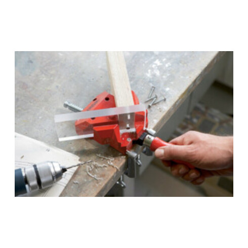 Bessey Morsa per serraggio in squadra WS6
