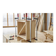 Bessey smeedbare gietijzeren schroefklem TG met 2-componenten kunststof handvat-2