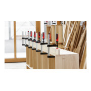 Bessey smeedbare gietijzeren schroefklem TG met 2-componenten kunststof handvat-4