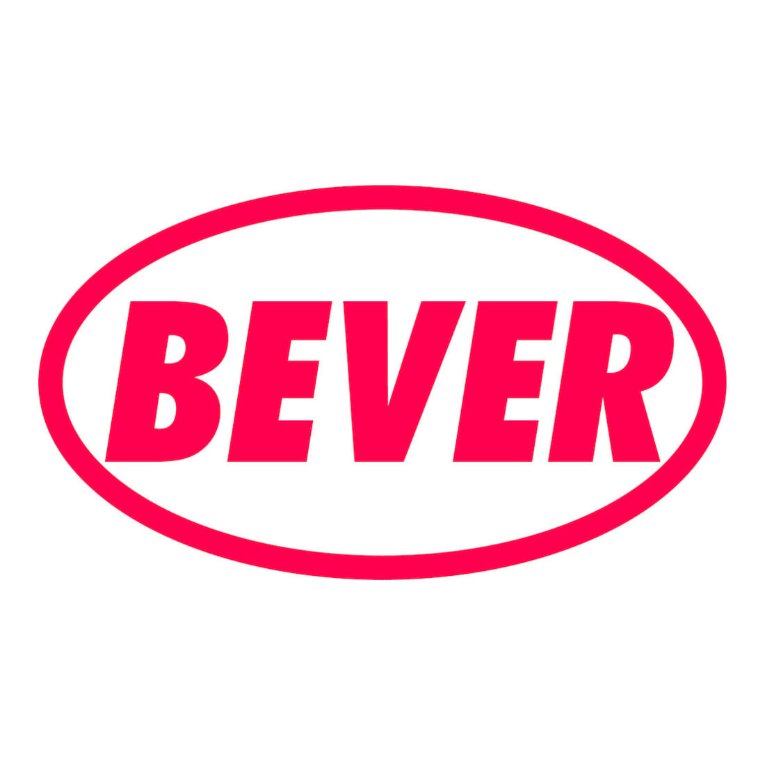 BEVER E-Türöffner 500 mit Flachschließblech 5-8V