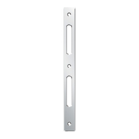 BEVER Plaque de fermeture plate 1004 BL 24x245 ktg, galvanisée