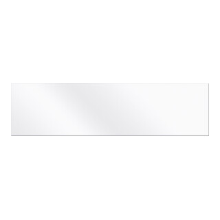 BGS Acrylglasplaat voor verlichte verkoopwand | 940 x 198 mm