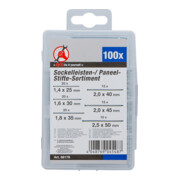 BGS Assortiment d’aiguilles de plinthe/panneau 100 pièces-3