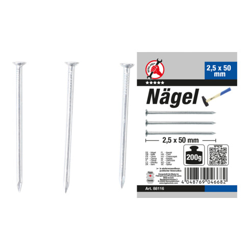 BGS Assortiment de clous 200 g 2,5 x 50 mm