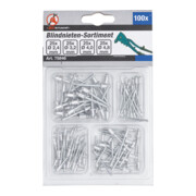 BGS Assortiment de rivets pop Ø 2,4 - 4,8 mm 100 pièces-3