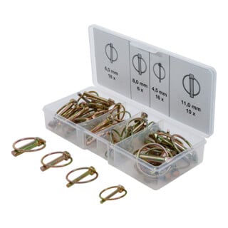 BGS Assortimento di perni spaccati pieghevoli, 50pz.