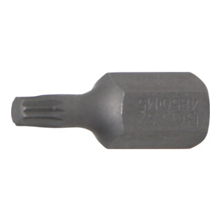 BGS Bit | 10 mm (3/8") buitenzeskant | veeltand (voor XZN) M5