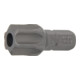 BGS Bit 4460, Länge 30 mm, Antrieb Außensechskant 8 mm (5/16"), T-Profil (für TX) mit Bohrung T60-1