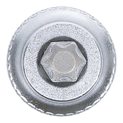 BGS Bit a inserto, azionamento quadro interno 10mm (3/8") Profilo a T (per TX) T40