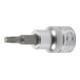 BGS Bit-Einsatz Antrieb Innenvierkant 10 mm (3/8") T-Profil (für TX) T20-1