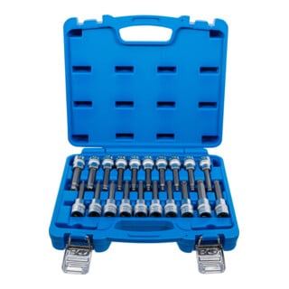 BGS Bit-Einsatz-Satz, Antrieb Innenvierkant 12,5 mm (1/2"), Innensechskant, T-Profil (für TX), Innenvielzahn (für XZN) mit Kugelkopf, 20-tlg.