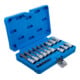 BGS Bit-Einsatz-Satz, Antrieb Innenvierkant 6,3 mm (1/4") / 12,5 mm (1/2"), Innensechskant, 18-tlg.-2