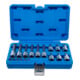 BGS Bit-Einsatz-Satz, Antrieb Innenvierkant 6,3 mm (1/4") / 12,5 mm (1/2"), T-Profil (für TX), 18-tlg.-1