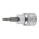 BGS Bit insteek binnenvierkant 10 mm (3/8") T-profiel (voor Torx) T20-1