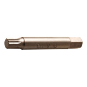 BGS Bit, lang 4246-M10, Antrieb Außensechskant 10 mm (3/8"), Innenvielzahn (für XZN) M10