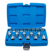 BGS Bitinsteek/steeksleutel insteeksleutelset aandrijving vierkantaandrijving 12,5 mm E-profiel / T-profiel (voor TX) 19 dlg.
