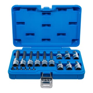 BGS Bitset, aandrijving binnenvierkant 6,3 mm (1/4") / 12,5 mm (1/2"), T-profiel (voor TX) met boring, 18-dlg.