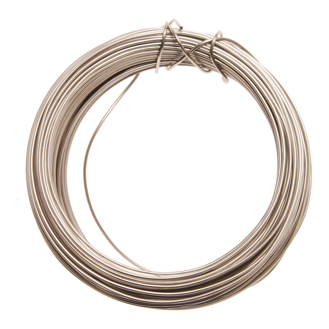 BGS Borgdraad | 15 m | roestvrij staal