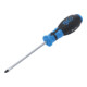 BGS Cacciavite con intaglio esagonale esterno-1