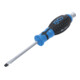 BGS Cacciavite con intaglio esagonale esterno-1