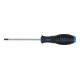 BGS Cacciavite, esagono interno 4 mm, Lunghezza della lama 100 mm-1