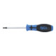 BGS Cacciavite, profilo a T (per Torx) con alesatura T15, Lunghezza della lama 80 mm-3