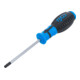 BGS Cacciavite, profilo a T (per Torx) con alesatura T30, Lunghezza della lama 100 mm-1