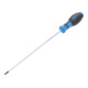 BGS Cacciavite, profilo a T (per Torx) T15, Lunghezza della lama 250 mm-1