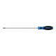 BGS Cacciavite, profilo a T (per Torx) T25, Lunghezza della lama 250 mm-1