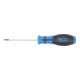 BGS Cacciavite, profilo a T (per TX) con alesatura T8, Lunghezza della lama 80 mm-3